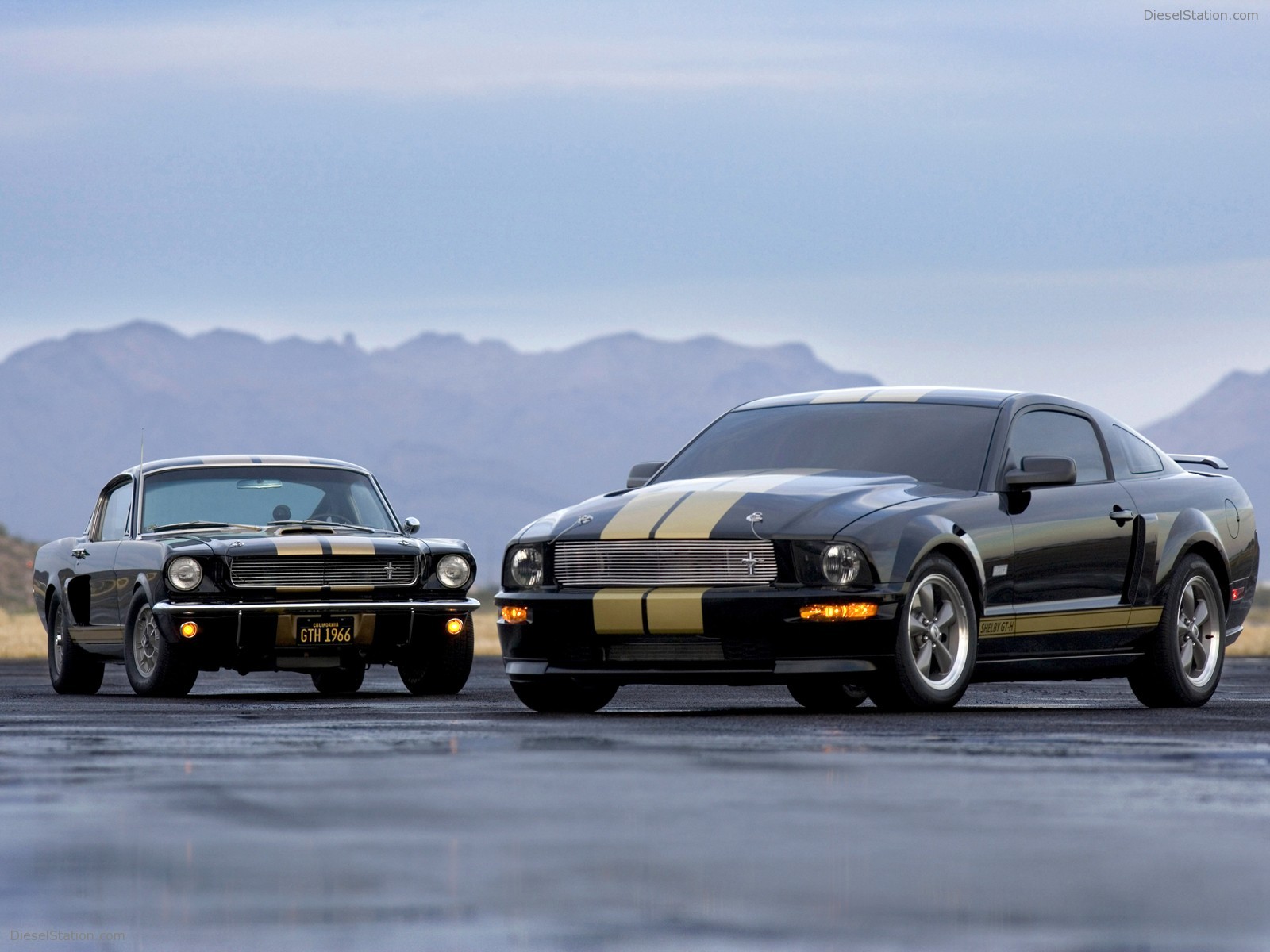 Ford Shelby GT-H